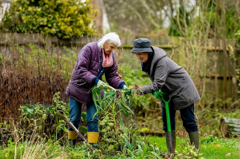 Two senior women enjoying gardening together outdoors in a lush garden setting.